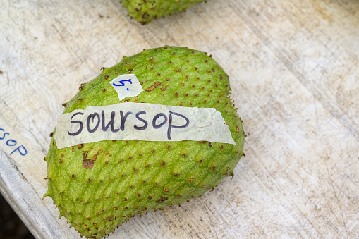 One soursop fruit with handwritten price tag.