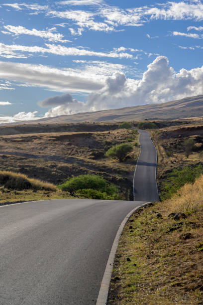 istock Long Hilly Road Trip on Maui 1256953006