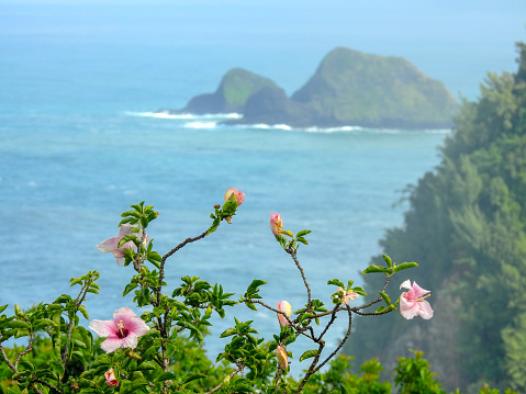 Puncak Mandeh is a place to enjoy the panoramic view of the beach with the color of the turquoise sea water and beautiful islands that stick out with green vegetation. Located in Pasanan district, West Sumatra Province, which is crossed by the equator. It's no exaggeration if we call the panorama of the peak of Mandeh a hidden beauty, a form of emerald beauty of the equator.