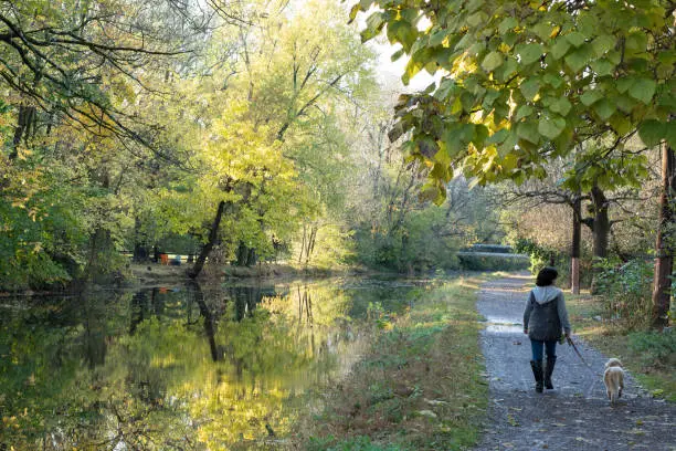 Photo of Woman walking with her dog along the river canal