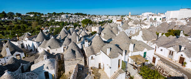 istock Panorama of Alberobello and Trulli 1256955724
