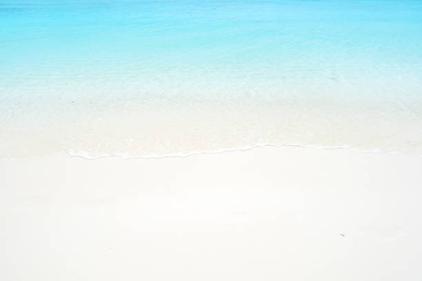 istock Beach sand and turquoise sea wave copy space scene 1256957088