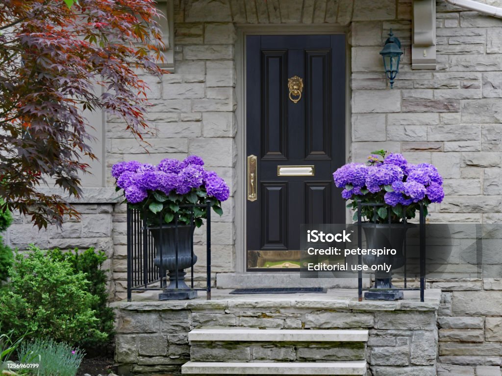 Elegant Front Door Of House Surrounded By Flowers Stock Photo ...