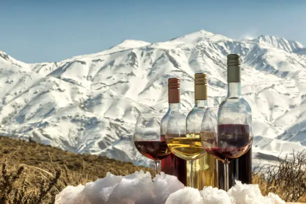 Bottles and glasses, of red, rosé and white, wine at the foot of the Andes range. Chile.