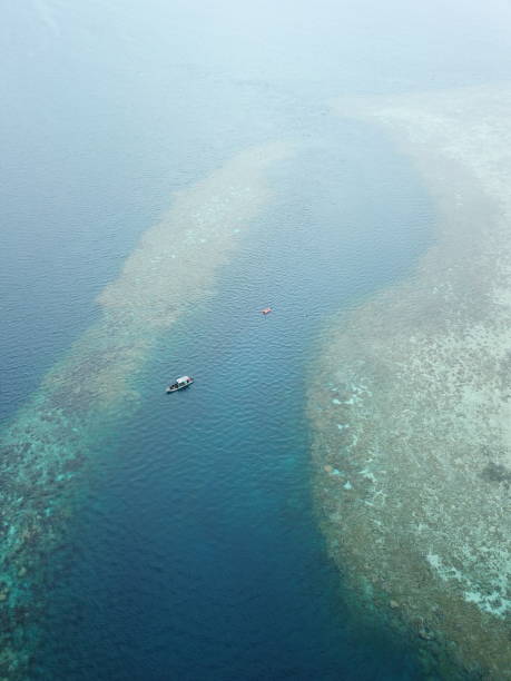 istock Manta ray drone view at Manta road in Pohnpei, Micronesia 1256966115
