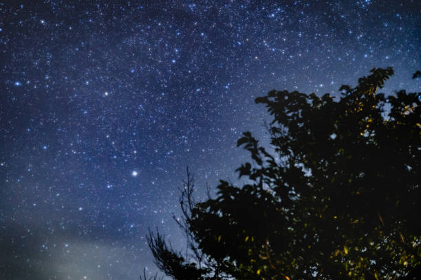 istock Starry night with mt. Fuji from  lake Yamanaka 1256966129