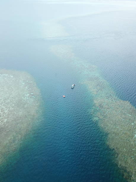 istock Manta ray drone view at Manta road in Pohnpei, Micronesia 1256966232