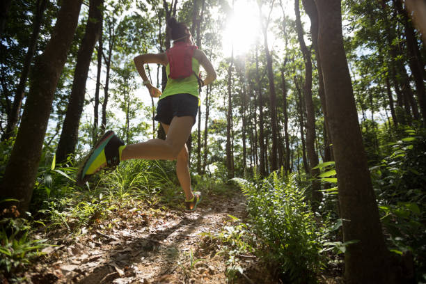 istock Young woman trail runner running in tropical forest 1256976083