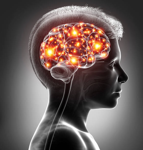 istock 3d rendered, medically accurate illustration of a young boy active brain 1256976201