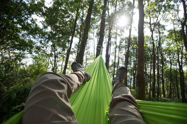 istock Relaxing in hammock in tropical forest 1256976242