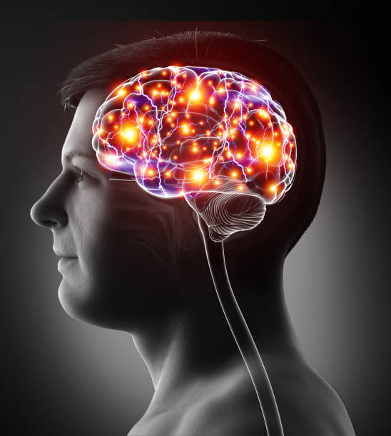 istock 3d rendered, medically accurate illustration of a male active brain 1256977852