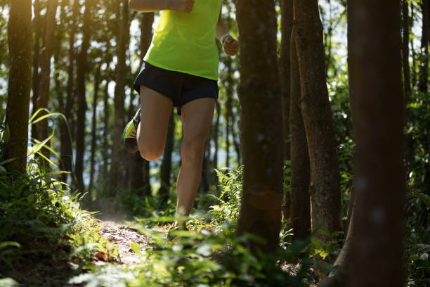 istock Young woman trail runner running in tropical forest 1256978706