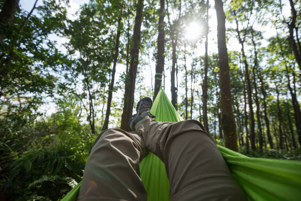 istock Relaxing in hammock in tropical forest 1256978760