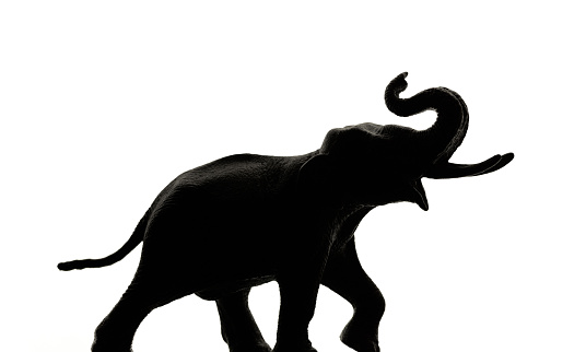 African elephant Silhouette