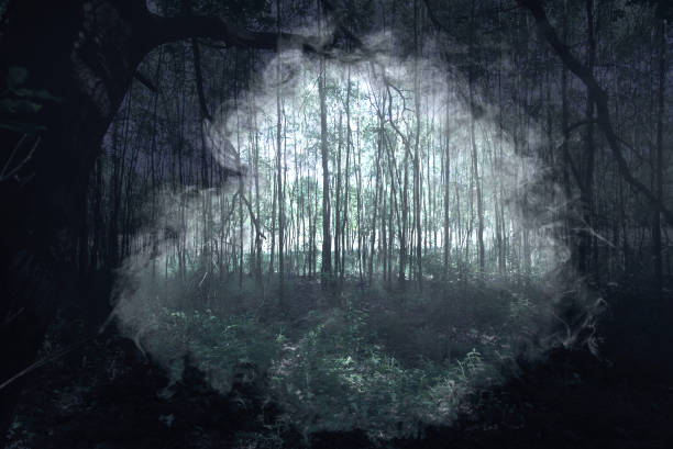 istock Densely standing young trees in a bog, abstract photo with creepy development and strong big black vignette 1256982001
