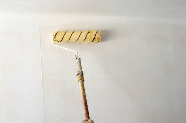 Painting with paint roller , wall painting concept.