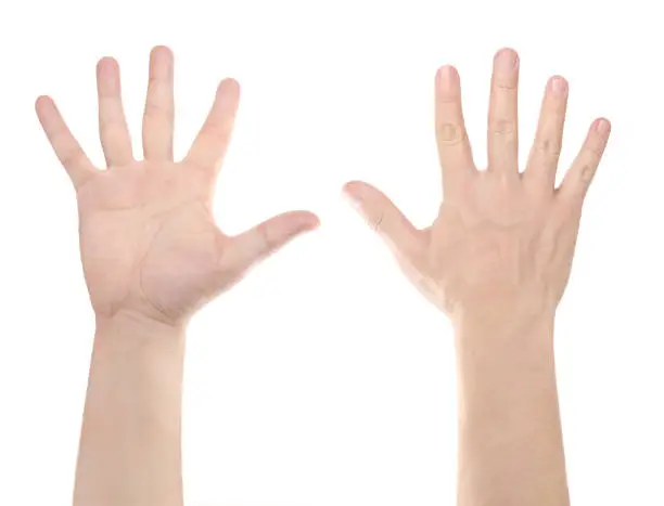 Raised hand, isolated on white background