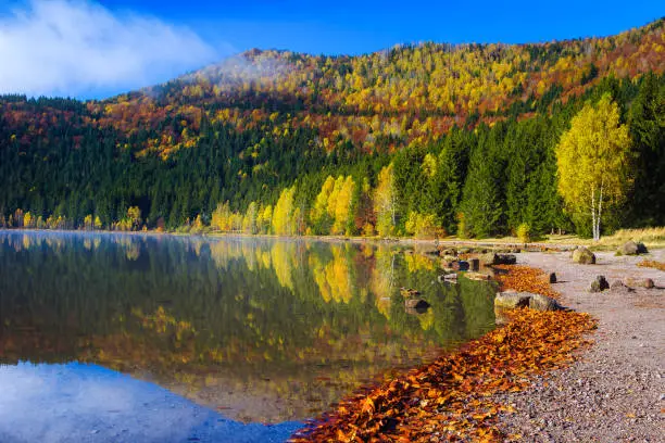 Photo of Picturesque autumn landscape with Saint Ana lake and colorful forest