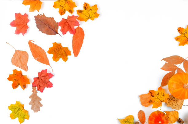 istock autumn background with yellow leaves 1256985763