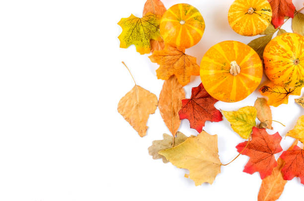 istock autumn background with yellow leaves 1256985764