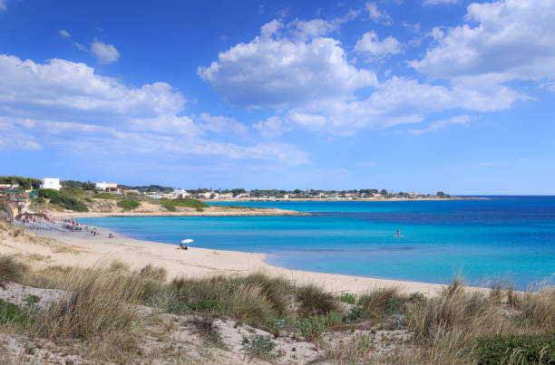 The most beautiful beaches of Puglia: Marina di Lizzano beach (Taranto). The coastline is characterized by a alternation of sandy coves and jagged cliffs overlooking a truly clear and crystalline sea. Marina di Lizzano, with its large sandy and soft beaches and dunes covered with junipers, boasts a sea with Caribbean shades. The colour of the sand is so clear which the water, in particular during the days when blows the wind from the north, has Caribbean shades. The sea beds, mostly sandy and sloping down, are perfect to swim and bathe relaxing. Just before Salento coastline appear dunes covered with the lush Mediterranean scrub, where there are protected plants such as a type of juniper, called “coccolone”. In some parts, amid the dunes there are small marshes and large pine forests with stone pines and holm oaks. taranto stock pictures, royalty-free photos & images