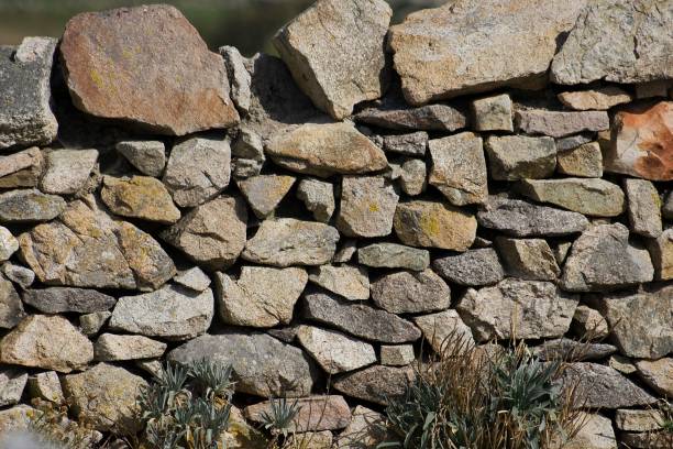 istock Wall of Stones 1256990219