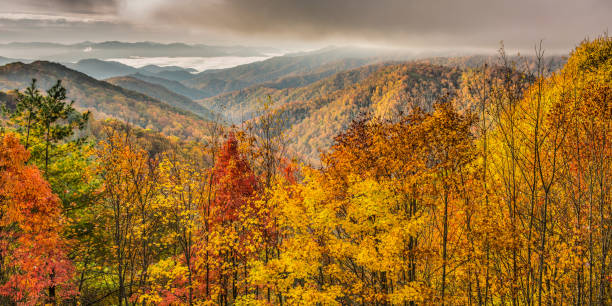 Autumn sunrise in Great Smoky Mountains National Park stock photo