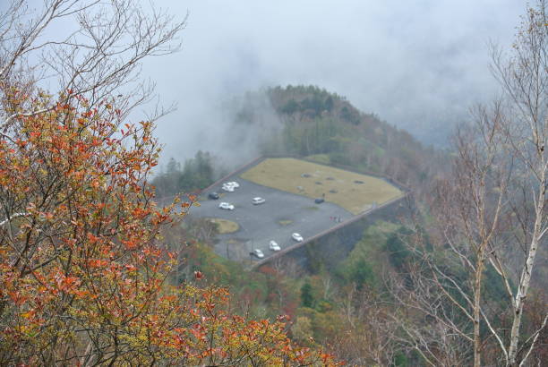 Look at the forest from a height