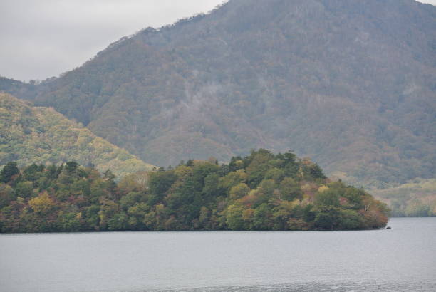 istock Forest by the lake in Nikko 1256999698