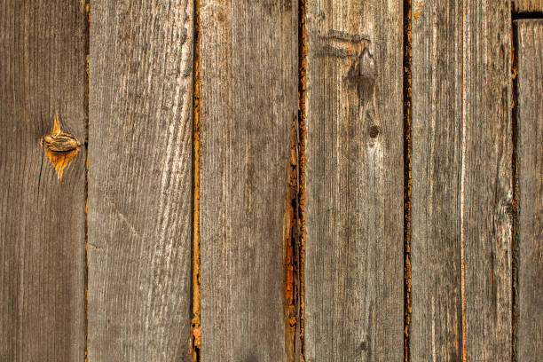 istock Texture of an old tree with knots. 1257000572