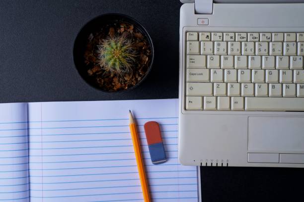 istock Office desk table with laptop computer, school notebook paper, pencil, eraser and cactus plant. Studying through computer concept. 1257005006