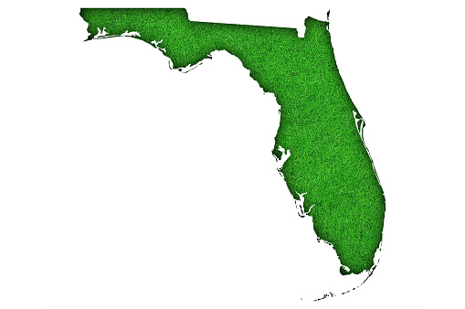 Map of Florida on green felt