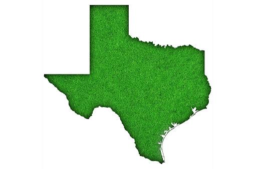 Map of Texas on green felt