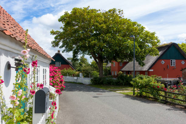 rua na bela vila velha de nordby na ilha de fanø na dinamarca - denmark house cottage rural scene - fotografias e filmes do acervo