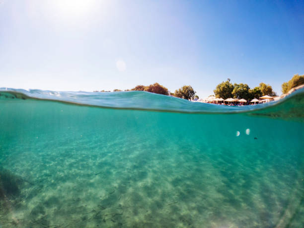 istock Under the sea and sky 1257007458
