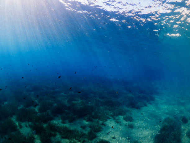 istock Under the sea and Sunbeam 1257007630