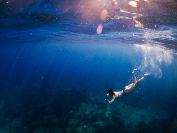 istock Woman diving under the sea 1257007801