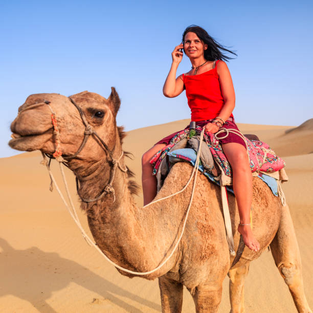 istock Young female tourist using mobile on a camel, Rajasthan, India 1257008442