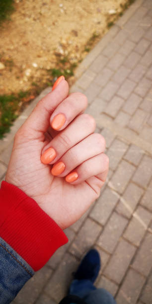 istock A neat manicure with orange varnish. 1257008495