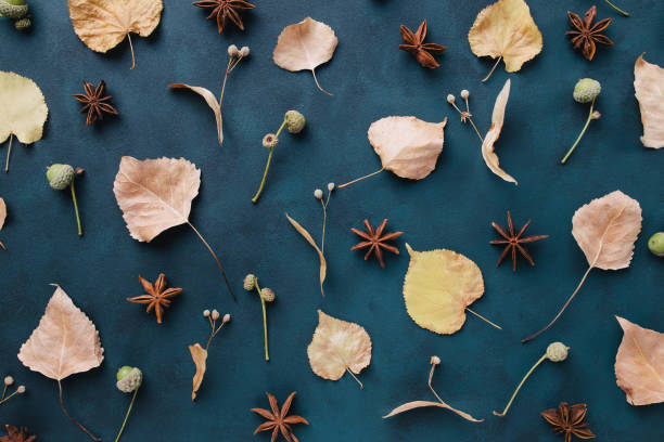istock Autumn pattern of dried leaves and flowers 1257008938