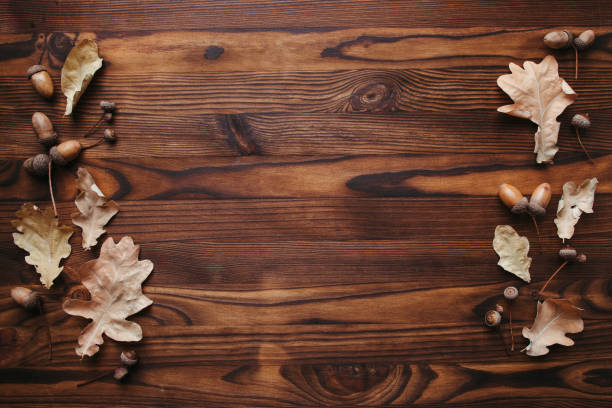 Autumn floral design greeting card. Fall oak leaves and acorns border on wooden surface. Thanksgiving day, seasonal concept. Copy space.