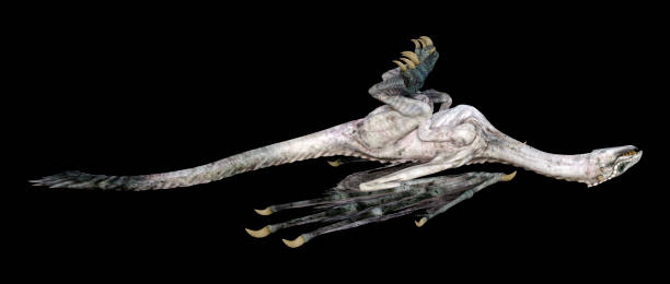 istock 3D illustration fantasy dragon on black 1257016420