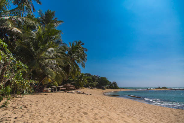 istock Beach at Matara, Sri Lanka 1257019598