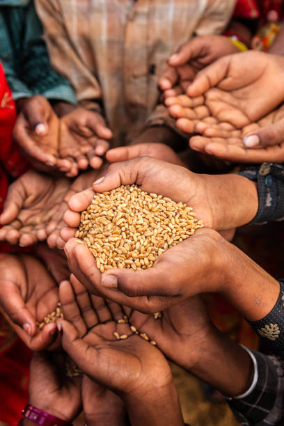 istock Poor Indian children asking for food, India 1257019605