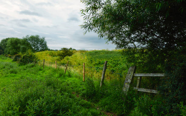 istock Collapsed barbed wire fence in overgrown pasture in Beverley, UK. 1257020013