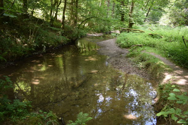 istock calm river Endert near the waterfall 1257020080