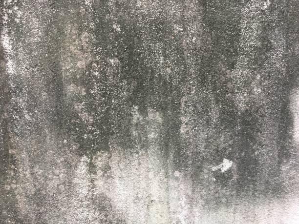 istock Dirty concrete wall texture for background with copy space for design 1257020289