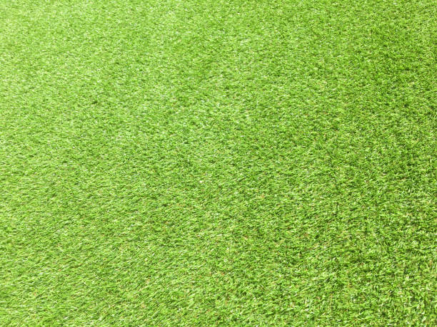 istock Artificial green lawn backyard for background. Texture for design 1257021041