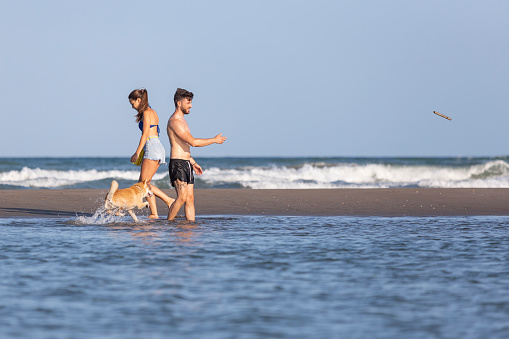 A young caucasian pretty couple playing with a dog in the beach