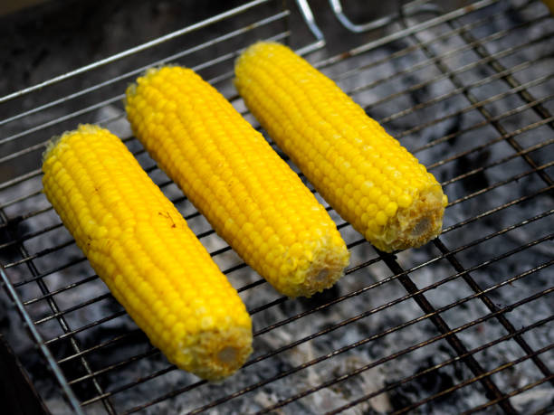 istock Cooking the cobs of corn on barbecue. 1257022837